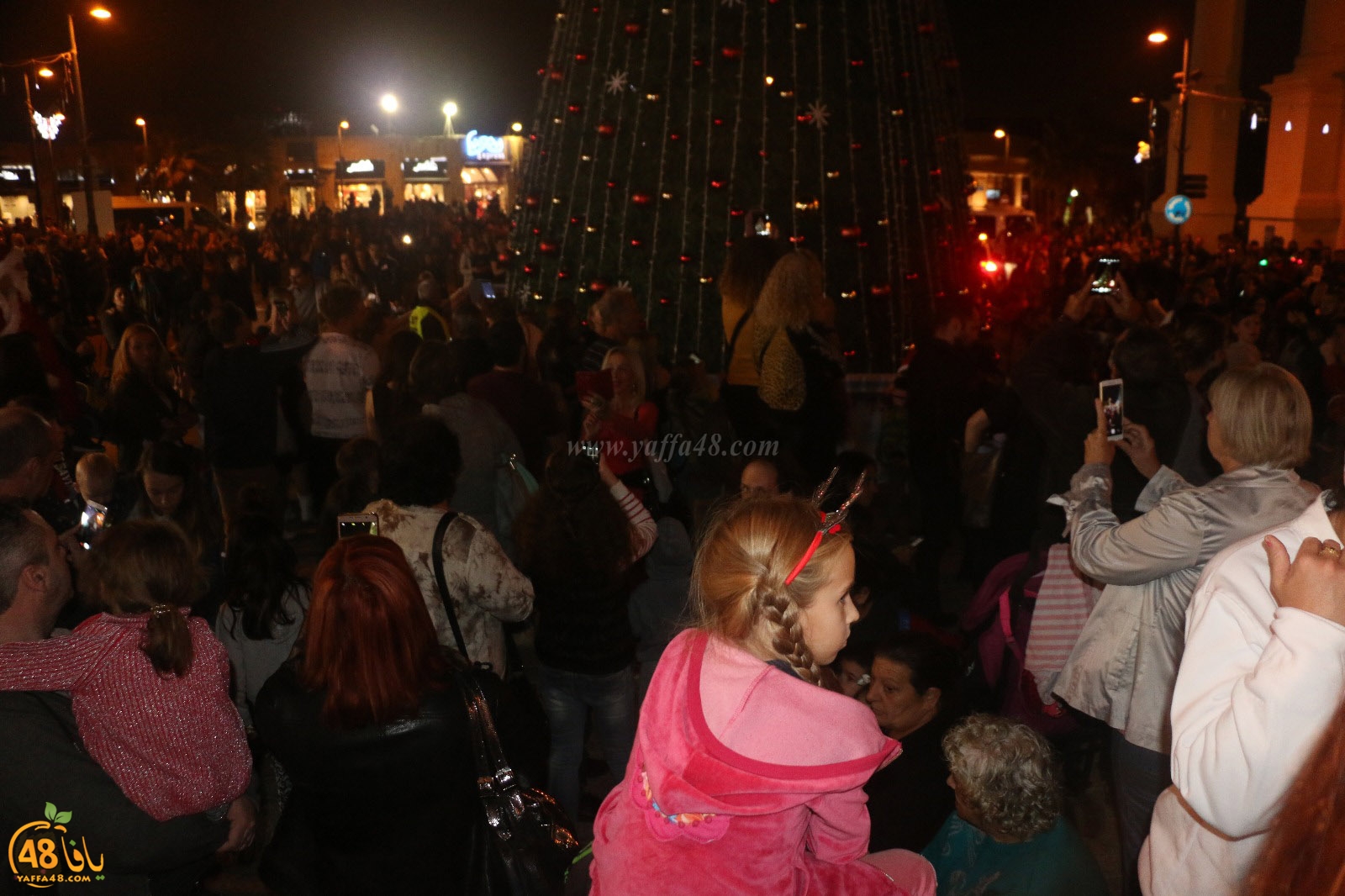 tree yaffa 5th (6).jpg